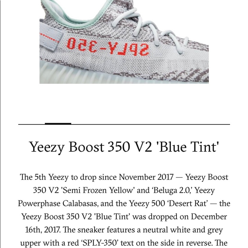 Yeezy Blue Tints size 10.